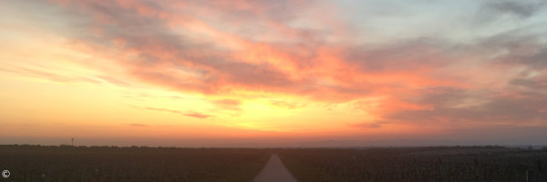 Weg in den Morgenhimmel