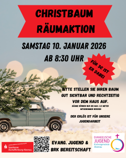 Christbaum auf dem Auto